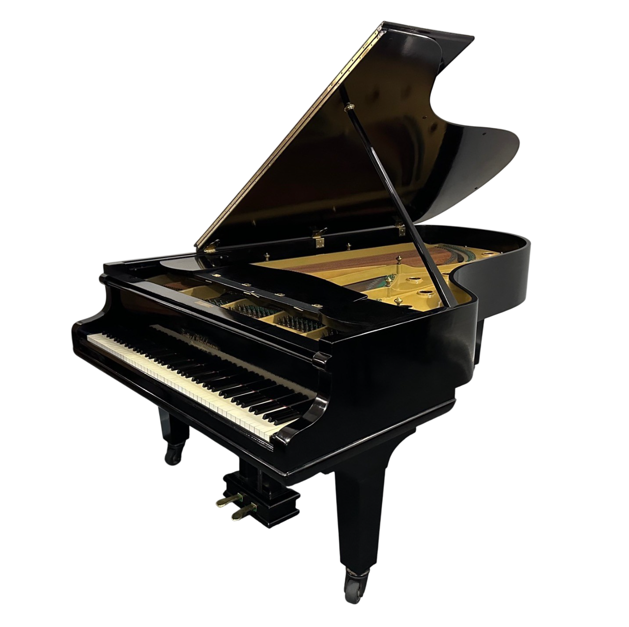 Zeitter & Winkelmann vleugel